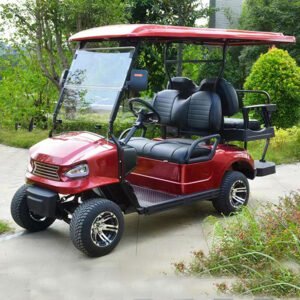 Golf Carts 2+2 Seats